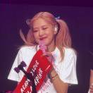 ROS&Eacute; DOG