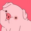珊