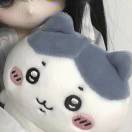 木有枝兮