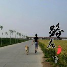 涛声