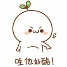 小鱼