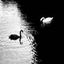 你永远不知道！（失去你有多煎熬）