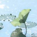 用户发起投诉