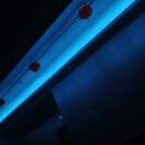 小谢的头像-澳门国际