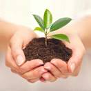 ꫛ꯭ོ陌້ᮨ໌꯭꯭꯭殇꯭程ꦿ