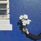 我希望有个如你一般的人﹌