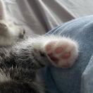 xXxx的头像-梦马考研