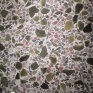 券妈妈会员: 花世界