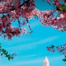 用户46705017的头像-cok论坛 - AGREE动漫游戏