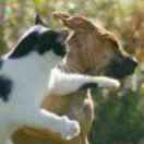 生徒c的头像-日本！日本语