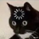 someth1ng的头像-cok论坛 - AGREE动漫游戏