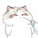 user icon
