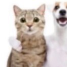 user_rrg783prhz63qa9v member profile picture