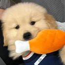 云波丶的头像-风行者社区