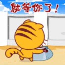 张先生的头像