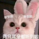 罗焓月
