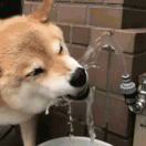 孤独的风景的头像-创薯资源