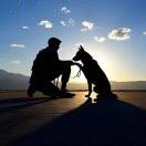 阿张的头像-创薯资源