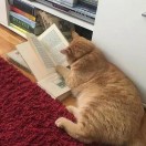 助农大学生艾海涛