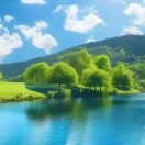 云淡风轻的头像-工欲善其事，必先利其器宋辞云创