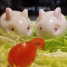 云吞饺子面