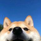 你