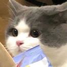 TIANTIAN_L
