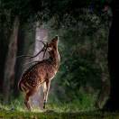 虫虫-博士钣金 - www.bsbanjin.com