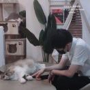 楠
