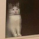 sjdhxjdjd的头像-听书迷