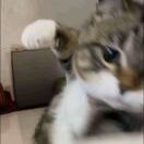 刘遥遥