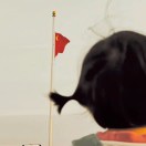 小不点