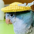 user_1ktlfefmwjmitwev member profile picture