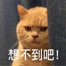 黎明前的叹息的头像-VAM®克苏恩资源社区