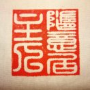 青鸟的头像-秀琴曲谱网