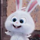 Snowball
