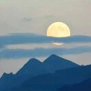 Harbor转租&房东直租