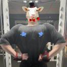 用户95484467的头像-梦马考研