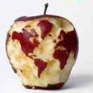 wangfei74926的头像