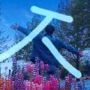缘茶-风行者社区