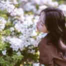 玉如意