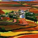 李睿