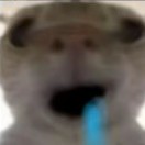 牛笔一哥的头像 - 校园论坛