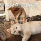 唐禹