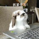 小巴