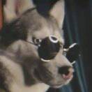 user icon