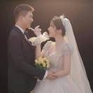 会飞猪猪-WordPress主题模板-zibll子比主题官方演示