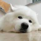 爱好-博士钣金 - www.bsbanjin.com