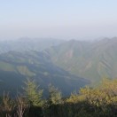葛峻廷