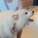 emooooo